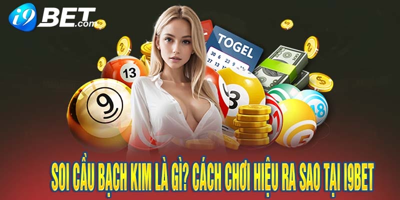 Soi Cầu Bạch Kim