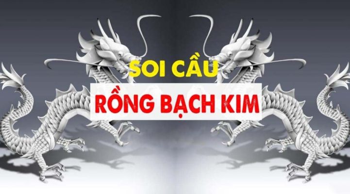 Soi Cầu Bạch Kim